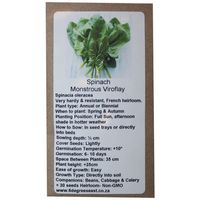 6 Degrees East Heirloom Veg Seeds - Spinach - Monstrous Viroflay